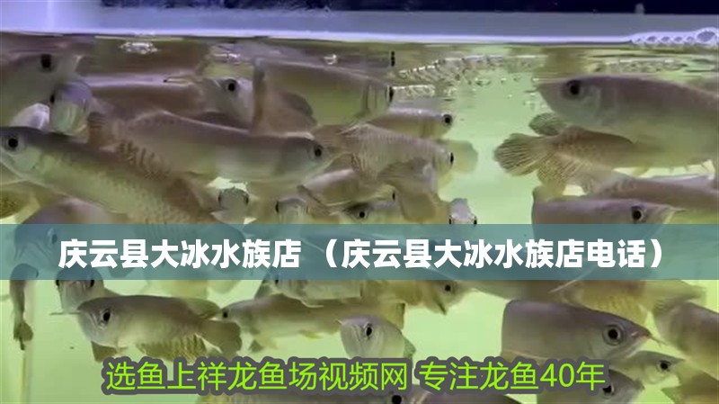 慶云縣大冰水族店 （慶云縣大冰水族店電話）