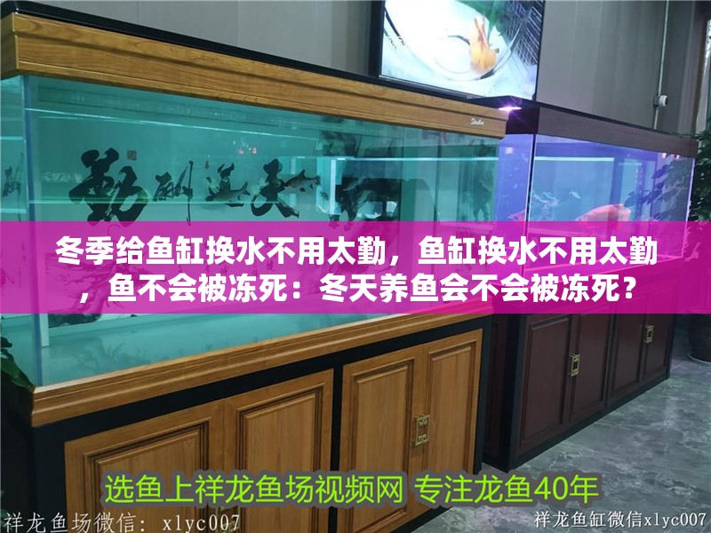 冬季給魚缸換水不用太勤，魚缸換水不用太勤，魚不會被凍死：冬天養魚會不會被凍死？