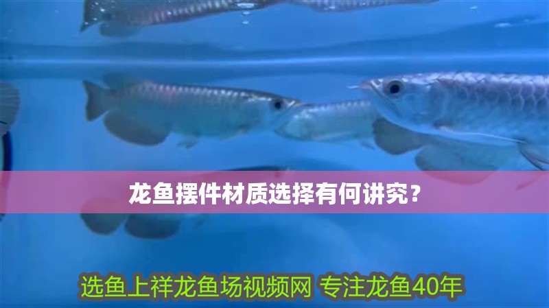 龍魚擺件材質(zhì)選擇有何講究？
