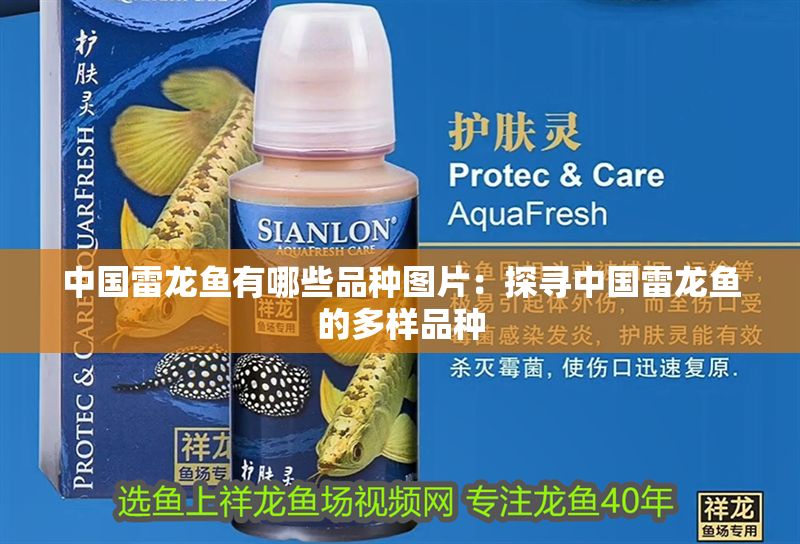 中國雷龍魚有哪些品種圖片：探尋中國雷龍魚的多樣品種