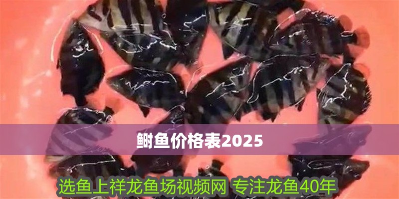 鰣魚價格表2025