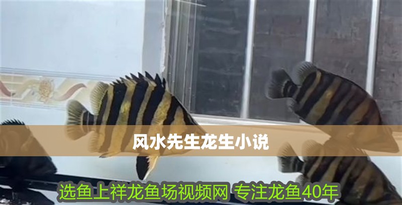 風(fēng)水先生龍生小說(shuō) 風(fēng)水先生龍生小說(shuō) 龍魚(yú)論壇