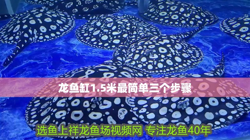 龍魚缸1.5米最簡單三個步驟