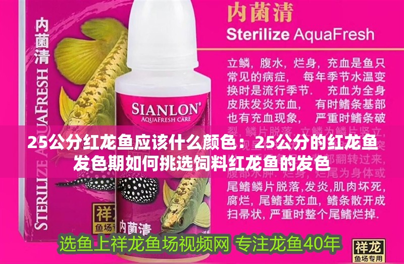 25公分紅龍魚應(yīng)該什么顏色：25公分的紅龍魚發(fā)色期如何挑選飼料紅龍魚的發(fā)色