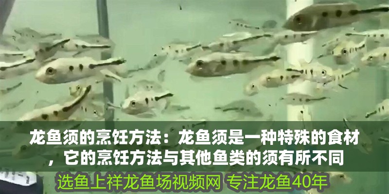 龍魚須的烹飪方法：龍魚須是一種特殊的食材，它的烹飪方法與其他魚類的須有所不同 龍魚須的烹飪方法：龍魚須是一種特殊的食材，它的烹飪方法與其他魚類的須有所不同 龍魚百科