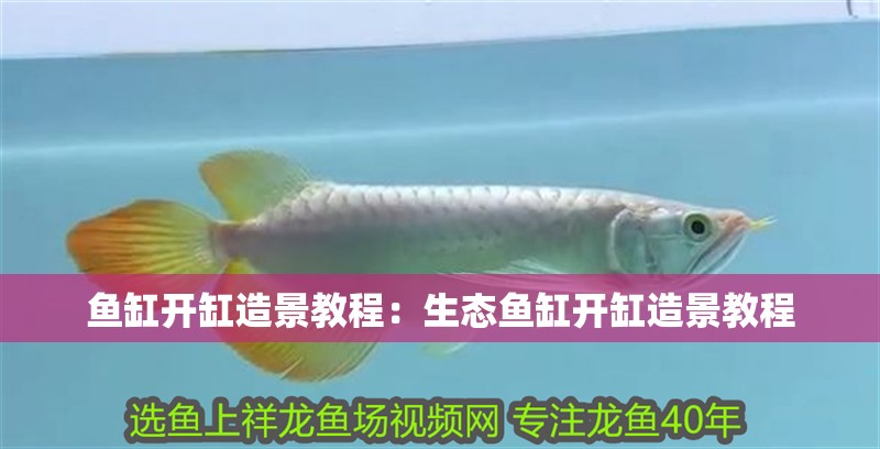 魚缸開缸造景教程：生態魚缸開缸造景教程 魚缸開缸造景教程：生態魚缸開缸造景教程 魚缸百科