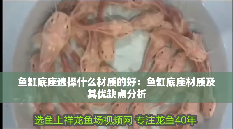 魚缸底座選擇什么材質的好：魚缸底座材質及其優缺點分析