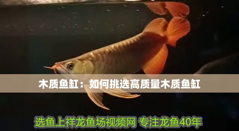 木質(zhì)魚缸：如何挑選高質(zhì)量木質(zhì)魚缸 木質(zhì)魚缸：如何挑選高質(zhì)量木質(zhì)魚缸 魚缸百科