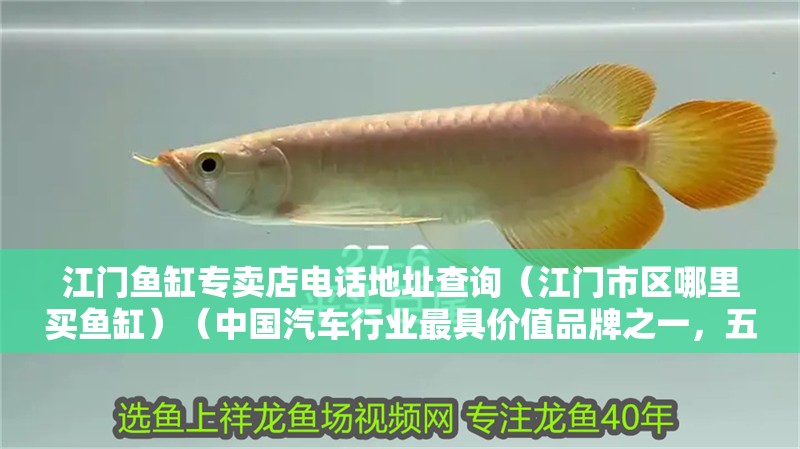 江門魚缸專賣店電話地址查詢（江門市區哪里買魚缸）（中國汽車行業最具價值品牌之一，五菱汽車4s店銷售電話） 江門魚缸專賣店電話地址查詢（江門市區哪里買魚缸）（中國汽車行業最具價值品牌之一，五菱汽車4s店銷售電話） 魚缸百科