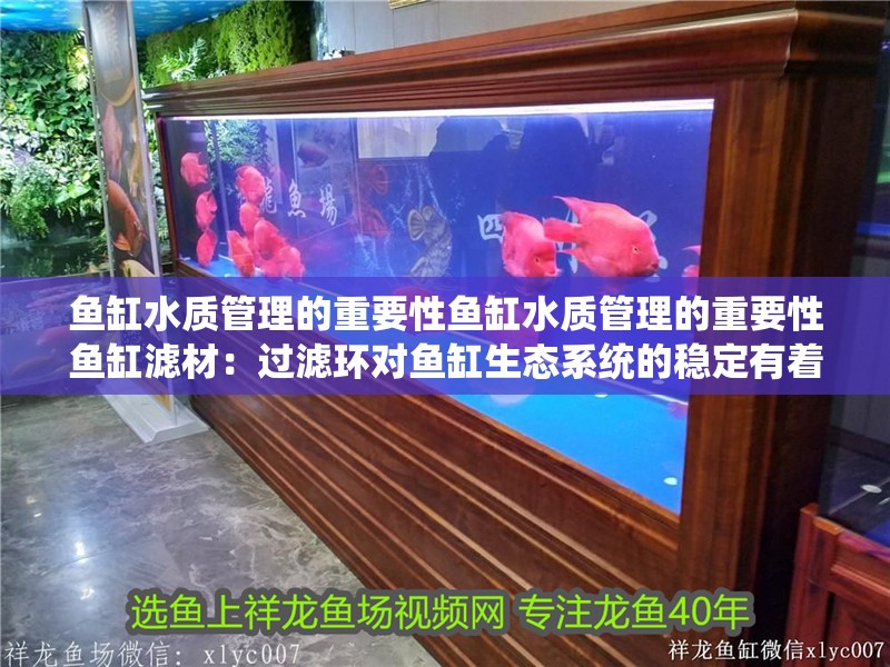 魚缸水質管理的重要性魚缸水質管理的重要性魚缸濾材：過濾環對魚缸生態系統的穩定有著重要影響 魚缸水質管理的重要性魚缸水質管理的重要性魚缸濾材：過濾環對魚缸生態系統的穩定有著重要影響 魚缸百科