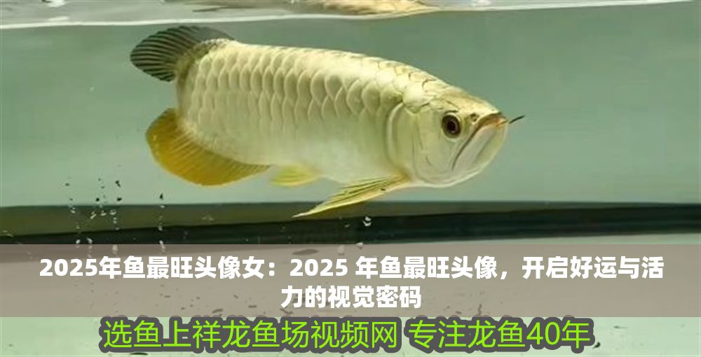 2025年魚最旺頭像女：2025 年魚最旺頭像，開啟好運與活力的視覺密碼