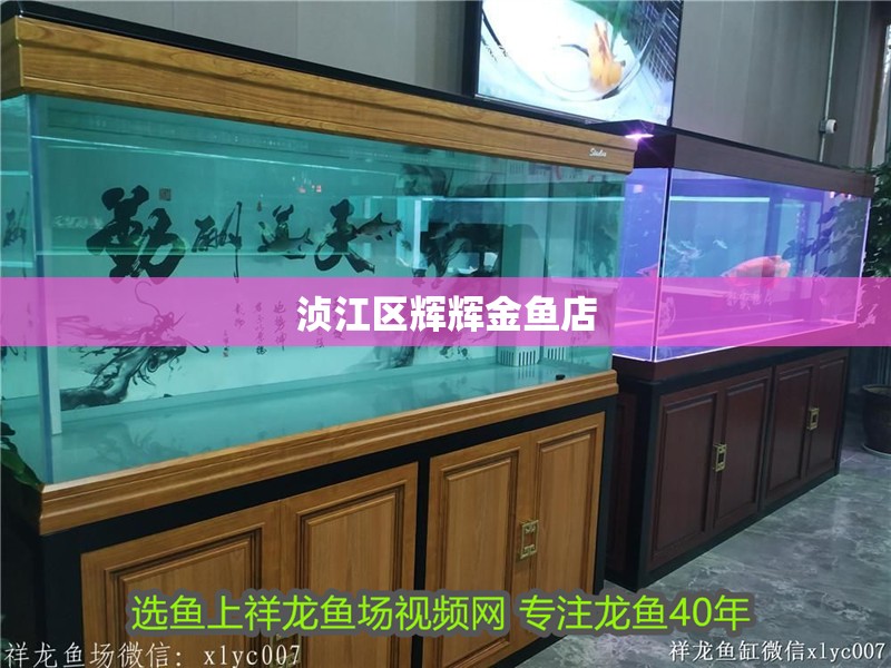湞江區(qū)輝輝金魚店