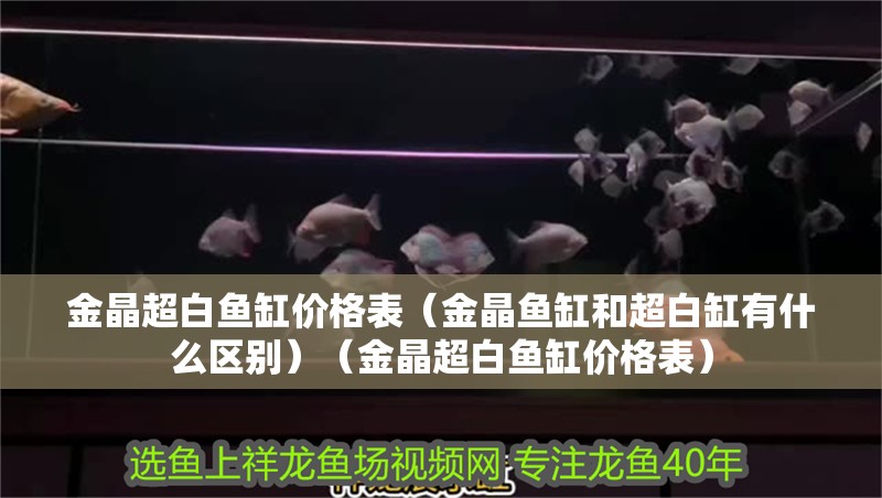 金晶超白魚缸價格表（金晶魚缸和超白缸有什么區別）（金晶超白魚缸價格表）