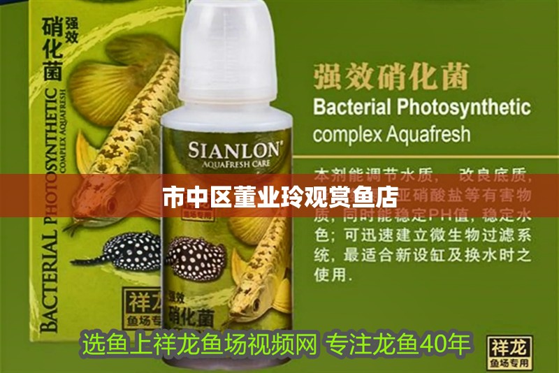 市中區(qū)董業(yè)玲觀賞魚店