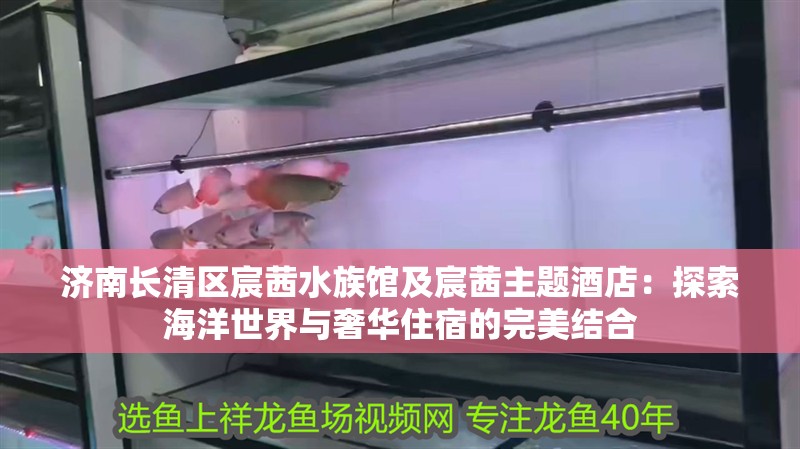 濟南長清區宸茜水族館及宸茜主題酒店：探索海洋世界與奢華住宿的完美結合 濟南長清區宸茜水族館及宸茜主題酒店：探索海洋世界與奢華住宿的完美結合 全國水族館企業名錄