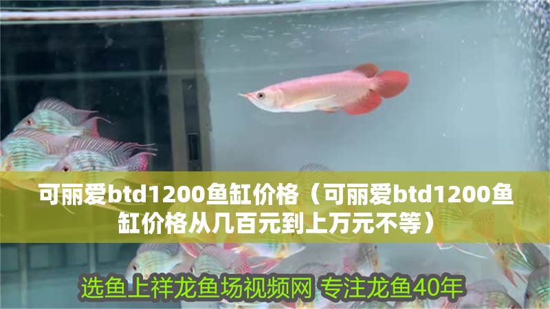 可麗愛btd1200魚缸價格（可麗愛btd1200魚缸價格從幾百元到上萬元不等）