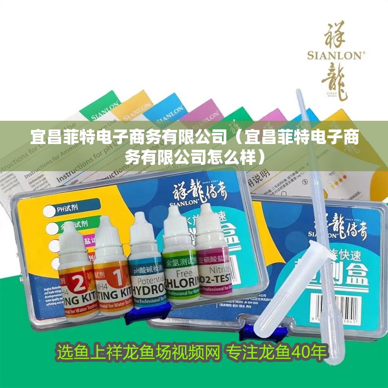 魚缸過濾器選購指南:自制魚缸過濾器魚缸上置過濾器對于養魚愛好者的必備知識 宜昌菲特電子商務有限公司(宜昌菲特電子商務有限公司怎么樣) 全國水族館企業名錄 宜昌菲特電子商務有限公司(宜昌菲特電子商務有限公司怎么樣) 宜昌菲特電子商務有限公司(宜昌菲特電子商務有限公司怎么樣) 全國水族館企業名錄