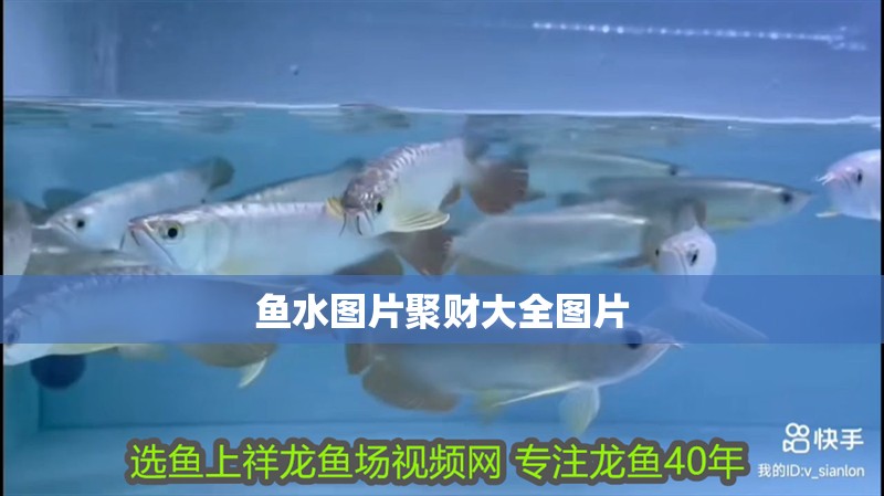 魚水圖片聚財大全圖片