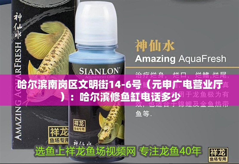 哈爾濱南崗區文明街14-6號（元申廣電營業廳）：哈爾濱修魚缸電話多少 哈爾濱南崗區文明街14-6號（元申廣電營業廳）：哈爾濱修魚缸電話多少 魚缸百科