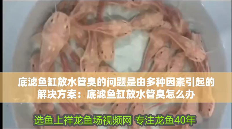 底濾魚缸放水管臭的問題是由多種因素引起的解決方案：底濾魚缸放水管臭怎么辦