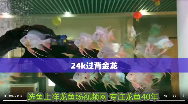 魚缸過濾器選購指南:自制魚缸過濾器魚缸上置過濾器對于養魚愛好者的必備知識 24k過背金龍 龍魚論壇 24k過背金龍 24k過背金龍 龍魚論壇