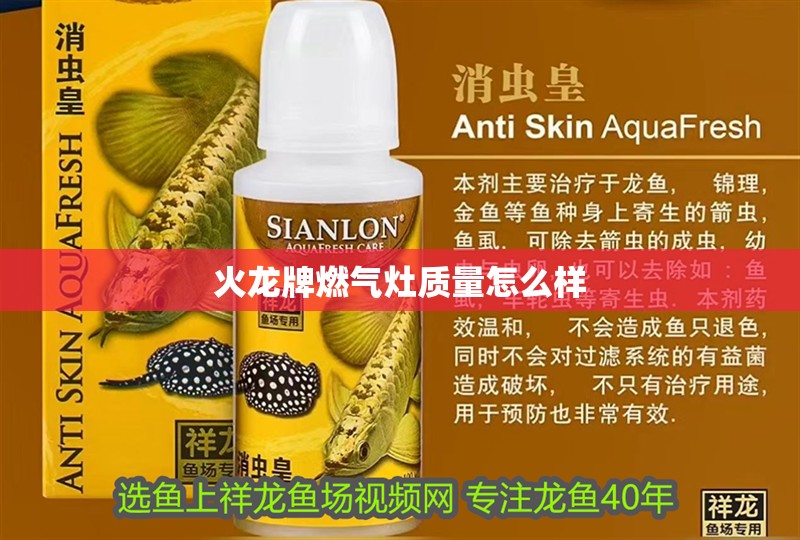 火龍牌燃?xì)庠钯|(zhì)量怎么樣 火龍牌燃?xì)庠钯|(zhì)量怎么樣 龍魚(yú)論壇