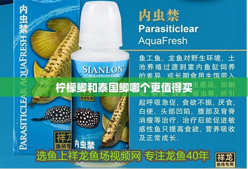 龍魚干蝦有營養嗎 檸檬鯽和泰國鯽哪個更值得買 龍魚論壇 檸檬鯽和泰國鯽哪個更值得買 檸檬鯽和泰國鯽哪個更值得買 龍魚論壇