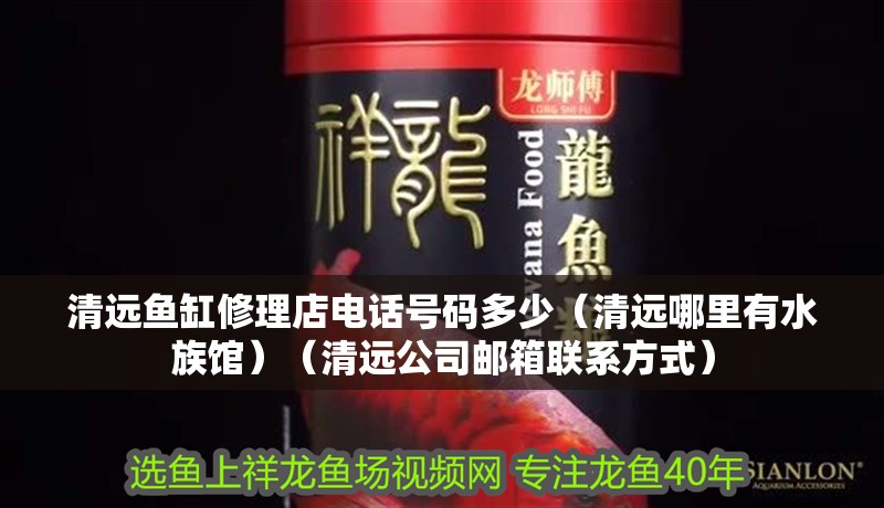 清遠魚缸修理店電話號碼多少（清遠哪里有水族館）（清遠公司郵箱聯(lián)系方式）