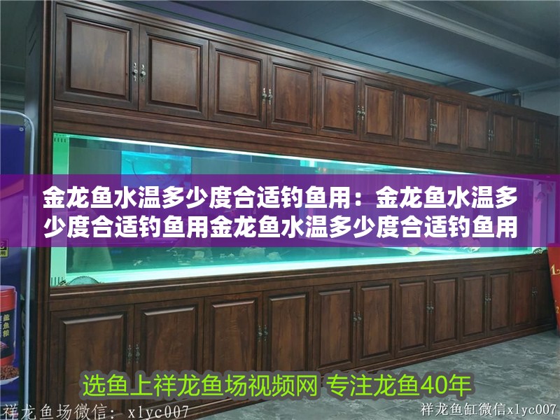 金龍魚水溫多少度合適釣魚用：金龍魚水溫多少度合適釣魚用金龍魚水溫多少度合適釣魚用