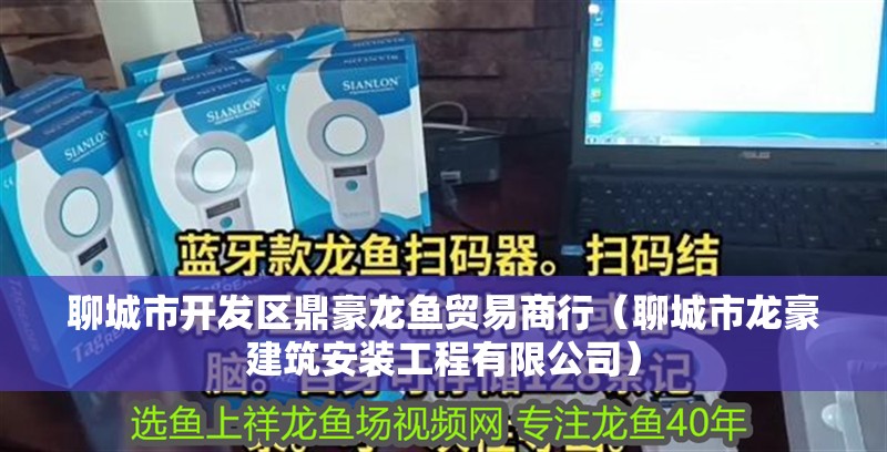 聊城市開發區鼎豪龍魚貿易商行（聊城市龍豪建筑安裝工程有限公司）