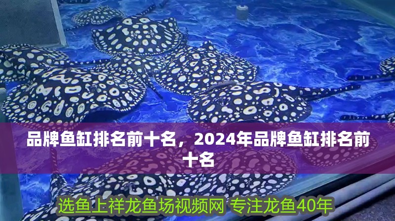 品牌魚缸排名前十名，2024年品牌魚缸排名前十名 品牌魚缸排名前十名，2024年品牌魚缸排名前十名 魚缸百科