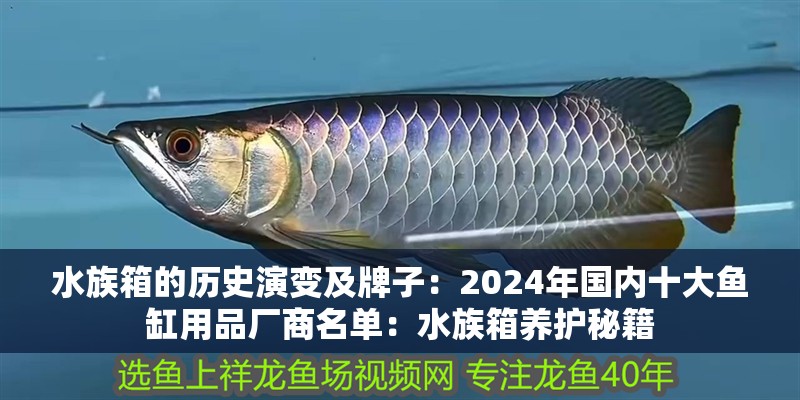 水族箱的歷史演變及牌子：2024年國內十大魚缸用品廠商名單：水族箱養護秘籍