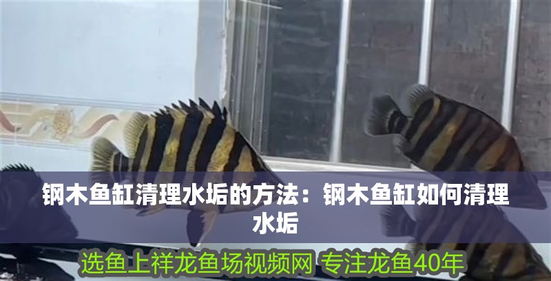 魚缸過濾器選購指南:自制魚缸過濾器魚缸上置過濾器對于養魚愛好者的必備知識 鋼木魚缸清理水垢的方法:鋼木魚缸如何清理水垢 魚缸百科 鋼木魚缸清理水垢的方法:鋼木魚缸如何清理水垢 鋼木魚缸清理水垢的方法:鋼木魚缸如何清理水垢 魚缸百科