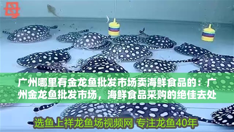 給大魚缸換水的作文:體驗給大魚缸換水的樂趣:體驗給大魚缸換水:給大魚缸換水的作文 廣州哪里有金龍魚批發市場賣海鮮食品的:廣州金龍魚批發市場,海鮮食品采購的絕佳去處 龍魚百科 廣州哪里有金龍魚批發市場賣海鮮食品的:廣州金龍魚批發市場,海鮮食品采購的絕佳去處 廣州哪里有金龍魚批發市場賣海鮮食品的:廣州金龍魚批發市場,海鮮食品采購的絕佳去處 龍魚百科