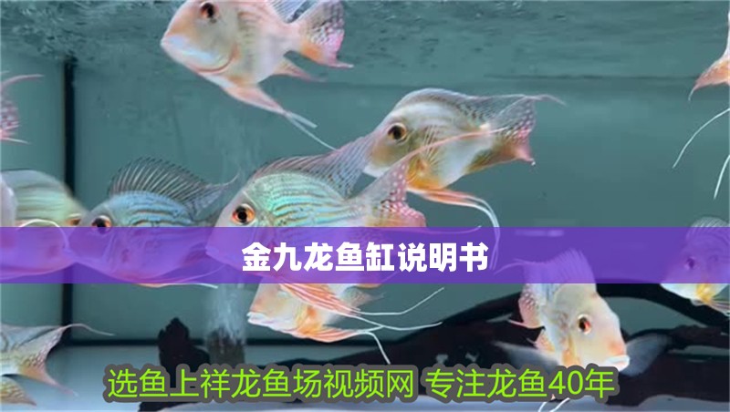 金九龍魚缸說明書