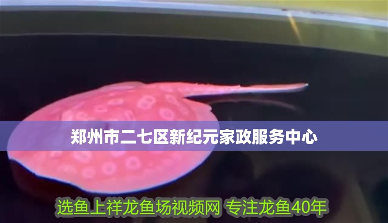 鄭州市二七區(qū)新紀(jì)元家政服務(wù)中心