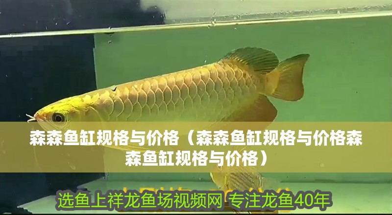 森森魚缸規格與價格（森森魚缸規格與價格森森魚缸規格與價格）