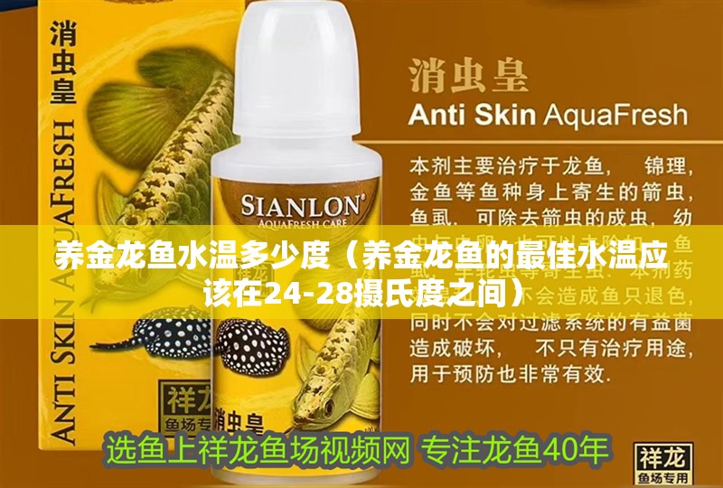 養(yǎng)金龍魚水溫多少度（養(yǎng)金龍魚的最佳水溫應該在24-28攝氏度之間）