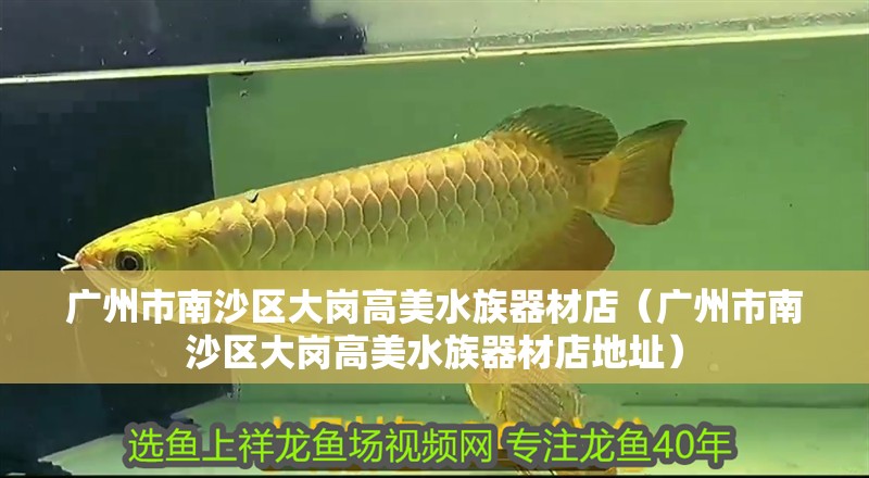 廣州市南沙區(qū)大崗高美水族器材店（廣州市南沙區(qū)大崗高美水族器材店地址） 廣州市南沙區(qū)大崗高美水族器材店（廣州市南沙區(qū)大崗高美水族器材店地址） 全國水族館企業(yè)名錄