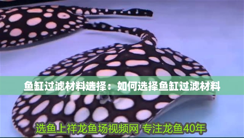 魚缸過濾材料選擇：如何選擇魚缸過濾材料