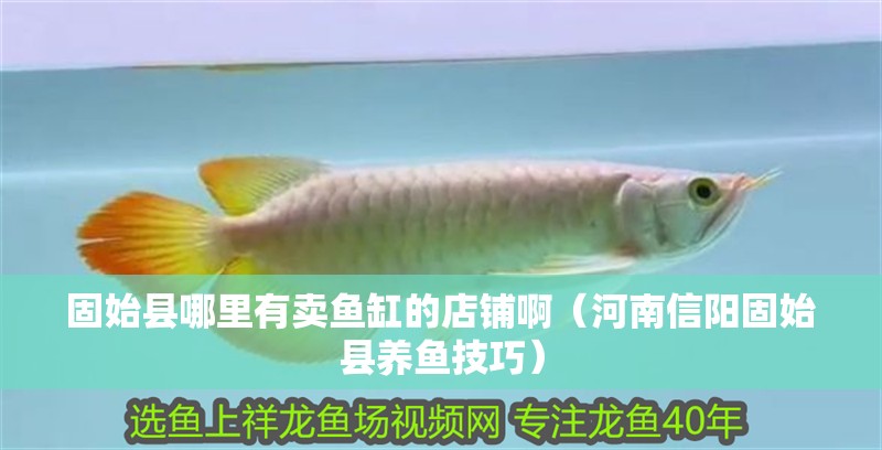 固始縣哪里有賣魚缸的店鋪啊（河南信陽固始縣養(yǎng)魚技巧）