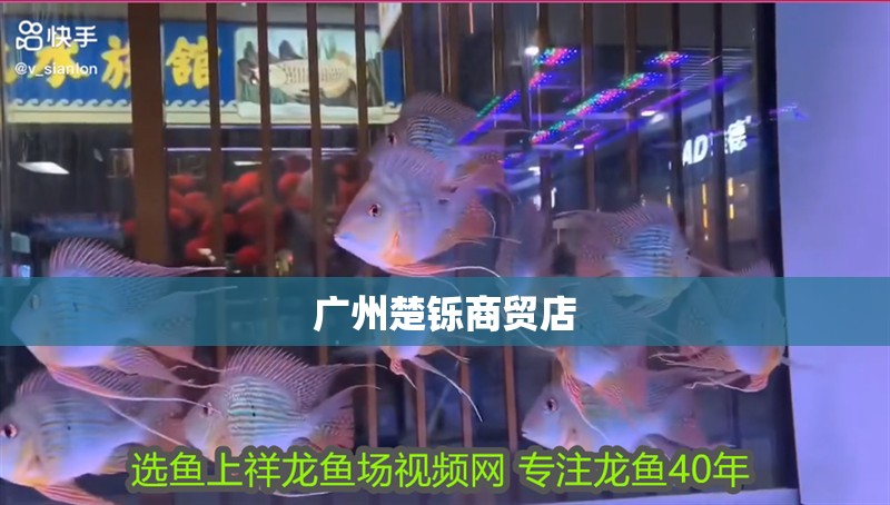 廣州楚鑠商貿(mào)店