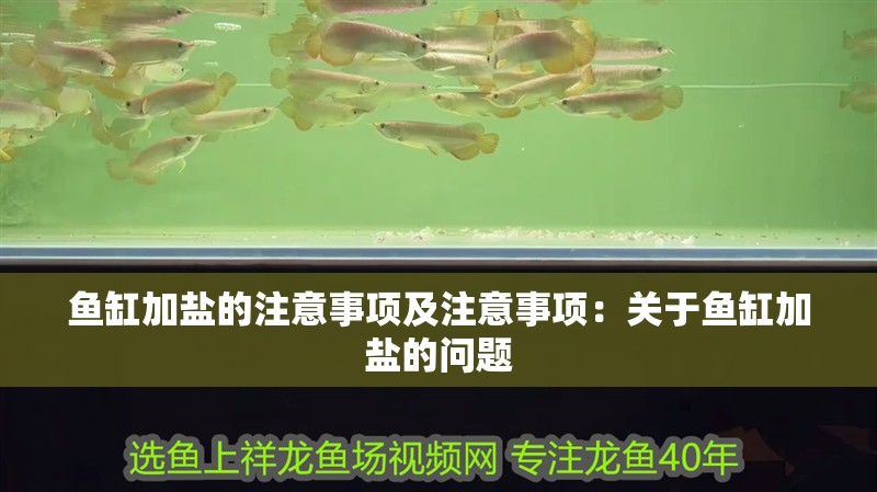 魚缸加鹽的注意事項及注意事項：關于魚缸加鹽的問題 魚缸加鹽的注意事項及注意事項：關于魚缸加鹽的問題 魚缸百科