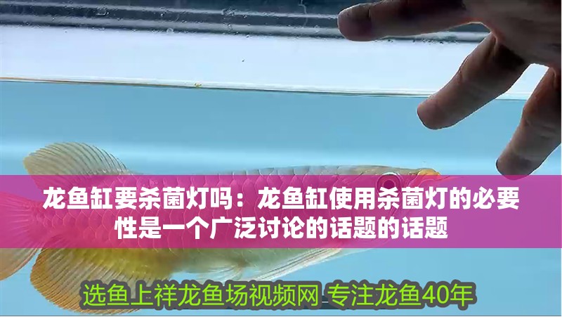 龍魚缸要殺菌燈嗎：龍魚缸使用殺菌燈的必要性是一個廣泛討論的話題的話題