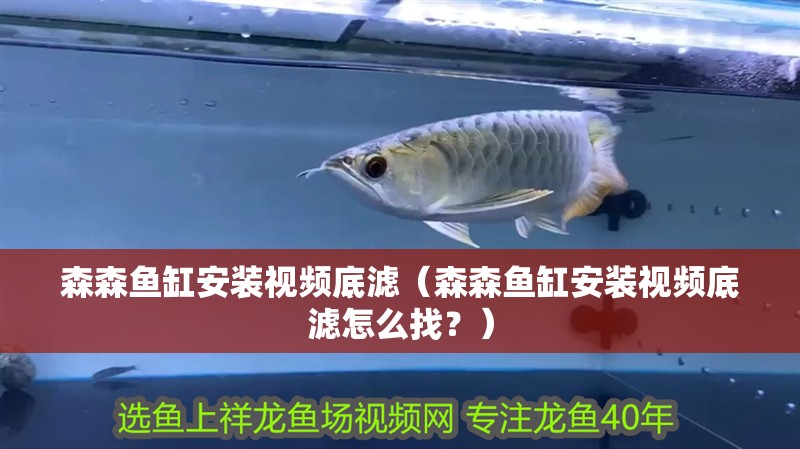 森森魚缸安裝視頻底濾（森森魚缸安裝視頻底濾怎么找？）