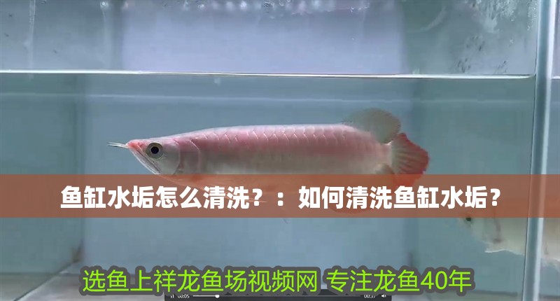 魚缸水垢怎么清洗？：如何清洗魚缸水垢？