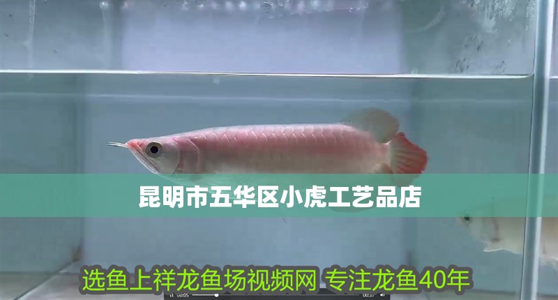 魚缸用增氧泵價格是多少:魚缸增氧機-xtrac增氧機-xtrac增氧機 昆明市五華區小虎工藝品店 全國水族館企業名錄 昆明市五華區小虎工藝品店 昆明市五華區小虎工藝品店 全國水族館企業名錄