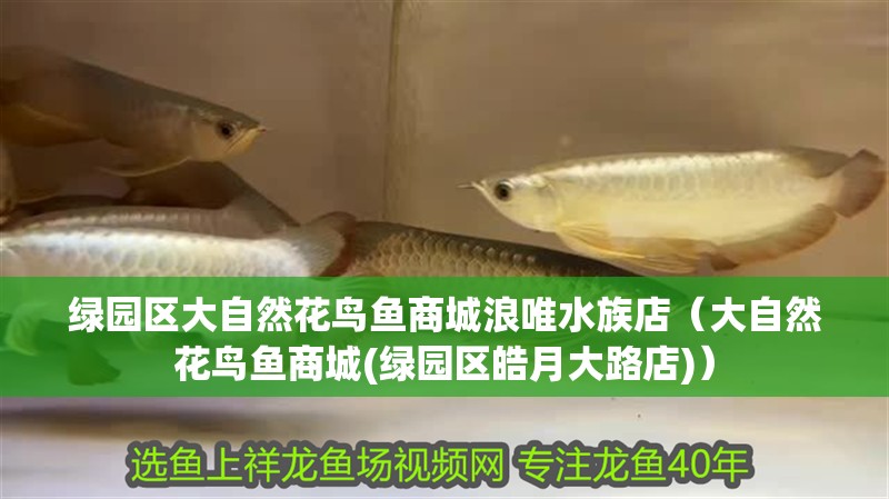 綠園區大自然花鳥魚商城浪唯水族店（大自然花鳥魚商城(綠園區皓月大路店)）