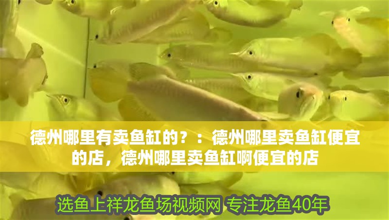 <strong><mark>德州</mark></strong>哪里有賣魚缸的？：<strong><mark>德州</mark></strong>哪里賣魚缸便宜的店，<strong><mark>德州</mark></strong>哪里賣魚缸啊便宜的店