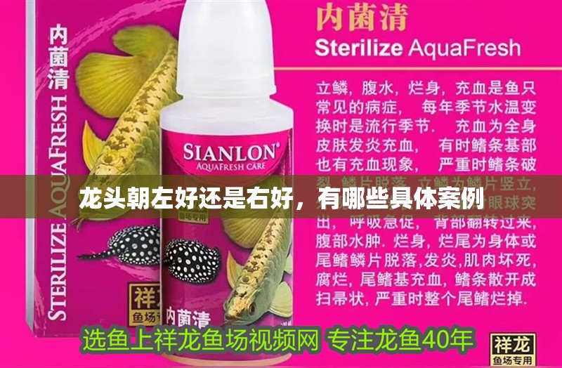 龍頭朝左好還是右好，有哪些具體案例